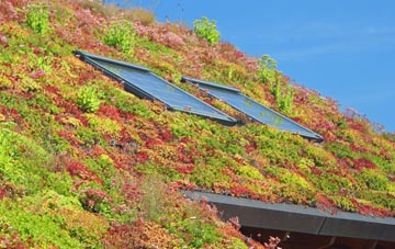 Gilsland living roof systems